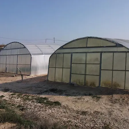 بيت ضيافة Oasis